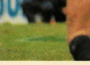 1980 Scanlens VFL #38 Ross Brewer Back